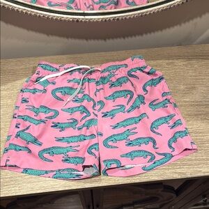 Chubbies men’s 5.5 trunks SMALL